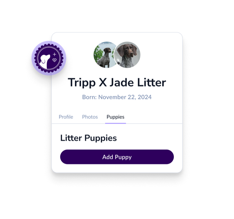 Creating a litter listing with puppy profiles