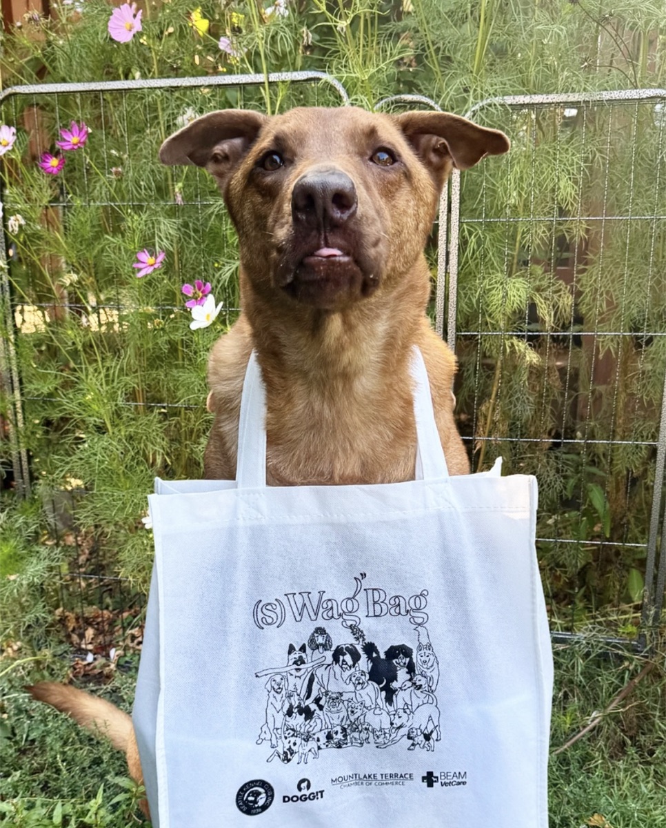 Dog holding a DOGG!T swag tote bag